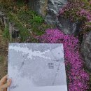 걷다보면 이미지
