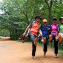 계족산황톳길 이미지