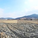 대곡농로 이미지