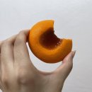 알페도 이미지