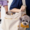 사계절 애견 켄넬 이미지