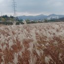 대명유수지 - 3898 | 대명유수지