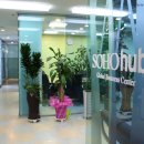 K씨의 꿈 이미지