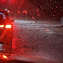 쭈꾸미화 이미지