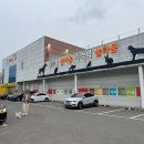 월드펫(애완동물할인매장) | 대구 창고형 반려동물용품 할인점 클럽펫월드