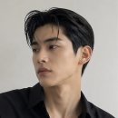무이대치