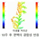 넥스트카본솔루션