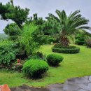 이정자농원 이미지