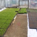 무진장농원 이미지