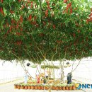 상서목장 이미지