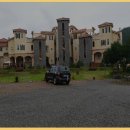 산천초목 이미지