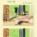 심농장 Daum카페