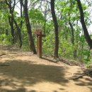 밤나무길 이미지