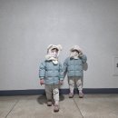 꽁냥꽁냥#1 | 딸둥이랑 꽁냥꽁냥(1)