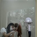 드로잉독 이미지