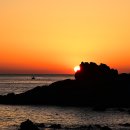 오시리아 이미지