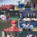 우리동네대장 스포츠경향