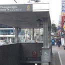 충정로수이비인후과의원 네이버블로그