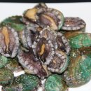 전복총각 이미지