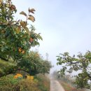 밤재 농장 이미지