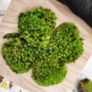 인기템샵 이미지