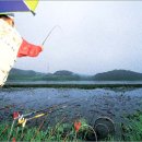 낚시터민박 이미지