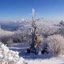 덕유산주유소 이미지