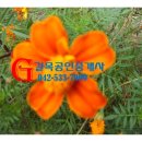 월평세탁소 이미지