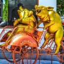 영대 복싱 체육관 이미지