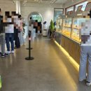 레몬비 양문점 | 원당 카페 예쁜정원 맛있는 빵과 함께하는 배다골 베이커리 하우스