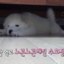 도두식당