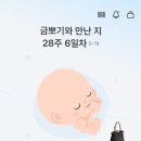 지에스25 강남성심병원점 | [임신 28-29주] 경부길이 짧음 고위험산모 한림대학교 강남성심병원 외래 후기