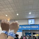 사라캣 | 스압주의_한달만에 또 캣페어방문 [2025 summer 가낳지모 캣페어 후기]