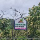제령포레스트캠프