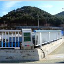 용호동 섶자리 이미지