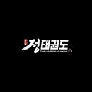 용인대정태권도