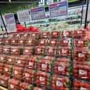 단장마트 이미지