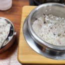 경화네집밥