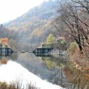 백야자연휴양림 이미지