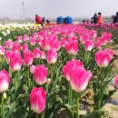 종구농장 이미지