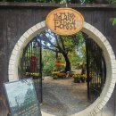 THE 숨 FOREST 이미지