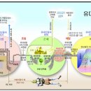 성막 강해_29 회 ~ 33회 : (정동수 목사, 사랑침례교회,킹제임스 흠정역 성경) 이미지