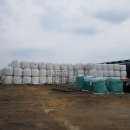 청계 한우 농장 이미지