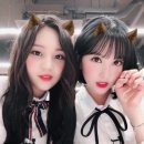 미라인 이미지