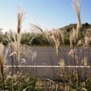 훈이네땅콩 이미지