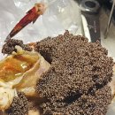 푸른숨마트 | 대구 매천시장 킹크랩 시세 65,000원 | 알 가득 암컷 레드킹크랩 포장 후기