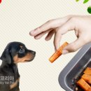 레스펫동물병원 네이버블로그