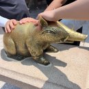 황금복돼지복권방 네이버블로그