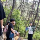함안 명관리 공룡발자국 이미지