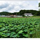 폭서암曝書巖 이미지